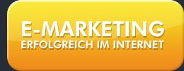 E-Marketing, AdWords und Suchmaschinenoptimierung